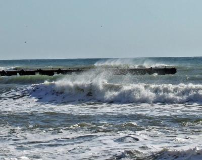 Прикрепленное изображение: DSCF8073.jpg